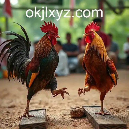 Gaming Experience OKJL - 800+ Premium and Exclusive Games